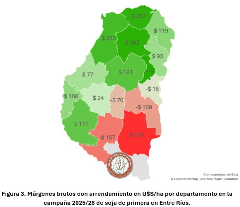 informa-soja-3-768x663