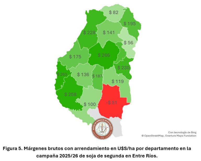 informa-soja-5-768x614